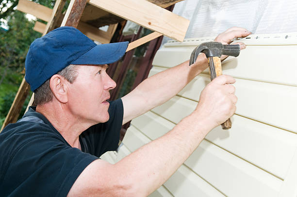 Best Fascia and Soffit Installation  in Oran, MO