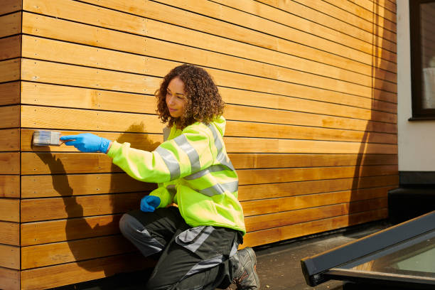 Best Siding for Commercial Buildings  in Oran, MO