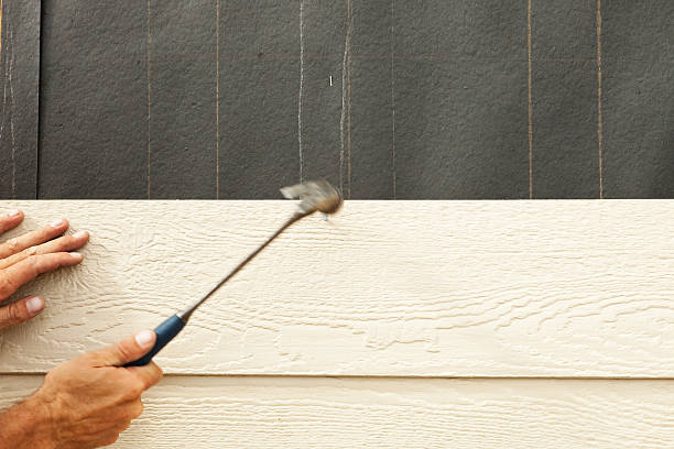 Best Engineered Wood Siding  in Oran, MO